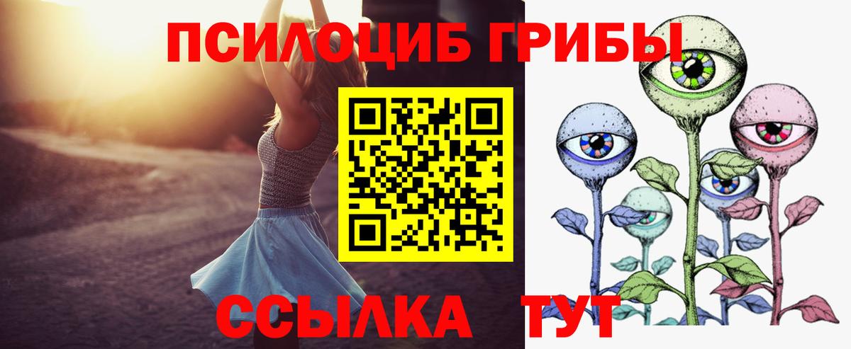 Галлюциногенные грибы Cubensis Богородск